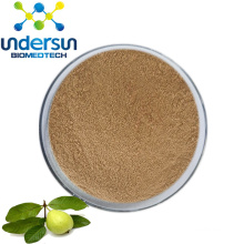Undersun Supply Natural Guava Leaf Extract Powder
